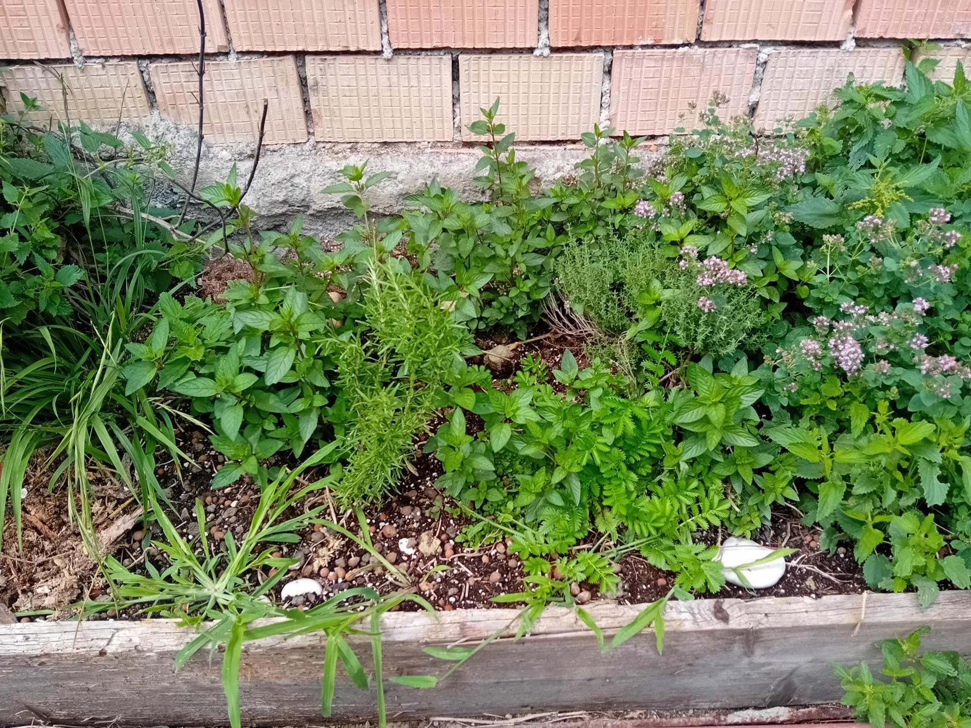 Statek Apartman Veverska Bityska Kültér fotó